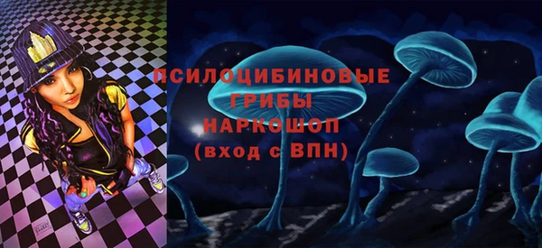 apvp Каменка