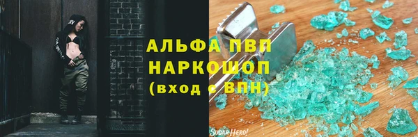 apvp Каменка