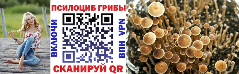 Галлюциногенные грибы ЛСД  Купить где  Балабаново 